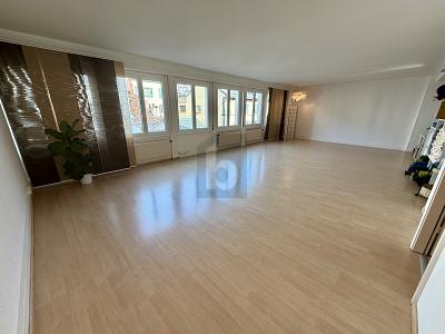 CENTRALE, LUMINOSO & FLESSIBILE, Sur demande, 1003 Lausanne, Ticino, CH
