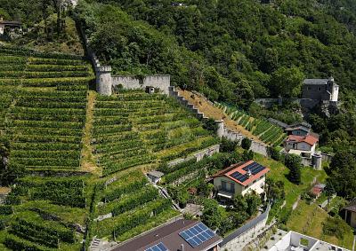 PRODUCTION AND HOSPITALITY IN AN IDEAL LOCATION, Auf Anfrage, 6514 Sementina, Ticino, CH