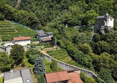 PRODUCTION AND HOSPITALITY IN AN IDEAL LOCATION, Auf Anfrage, 6514 Sementina, Ticino, CH