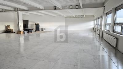 FLESSIBILE, LUMINOSO E BEN COLLEGATO, Auf Anfrage, 8153 Rümlang, Ticino, CH