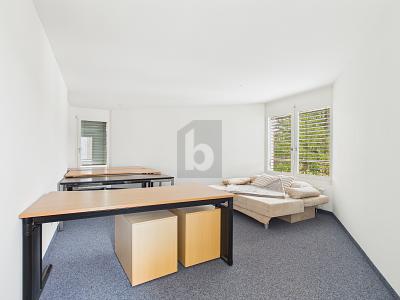 FLEXIBLE - IN A VERY GOOD LOCATION, Auf Anfrage, 8600 Dübendorf, Ticino, CH