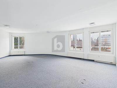 FLEXIBLE - IN A VERY GOOD LOCATION, Auf Anfrage, 8600 Dübendorf, Ticino, CH