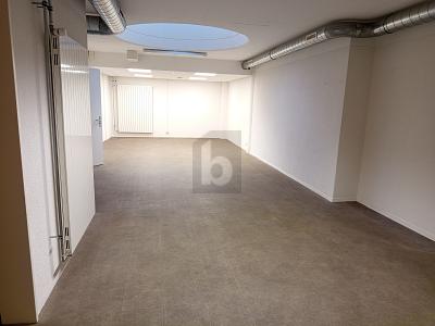 DINAMICO, CONFORTEVOLE & CENTRALE, Sur demande, 1018 Lausanne, Ticino, CH