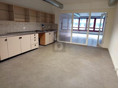 DINAMICO, CONFORTEVOLE & CENTRALE, Sur demande, 1018 Lausanne, Ticino, CH