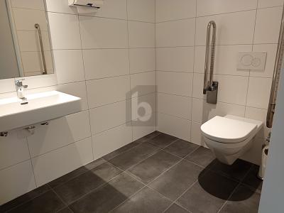 DINAMICO, CONFORTEVOLE & CENTRALE, Sur demande, 1018 Lausanne, Ticino, CH