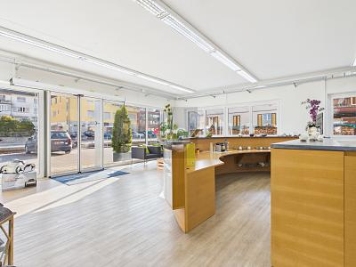 RAPPRESENTATIVO IN POSIZIONE CENTRALE, Auf Anfrage, 6280 Hochdorf, Ticino, CH
