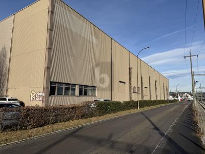 GROSSZÜGIG UND REPRÄSENTATIV, MIT LKW-RAMPEN, Auf Anfrage, 4142 Münchenstein, Ticino, CH