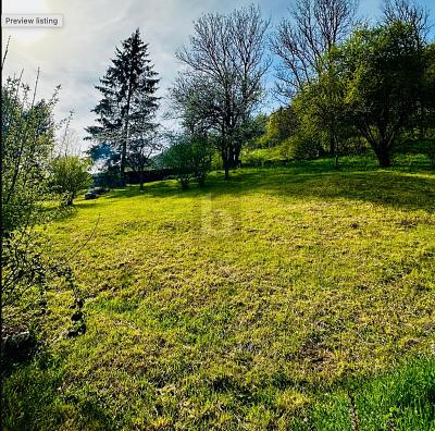 POTENTIEL AU CœUR DE SONVILIER, Sur demande, 2615 Sonvilier, Ticino, CH