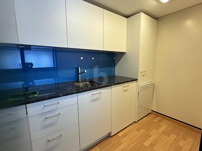 MODERNE, LUMINEUX ET FONCTIONNEL, Auf Anfrage, 6006 Luzern, Ticino, CH