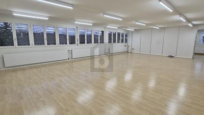 PARFAIT POUR SÉMINAIRES ET COACHINGS, Auf Anfrage, 8105 Regensdorf, Ticino, CH