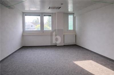 SURFACE LUMINEUSE DANS UN ENVIRONNEMENT CALME, Sur demande, 1027 Lonay, Ticino, CH