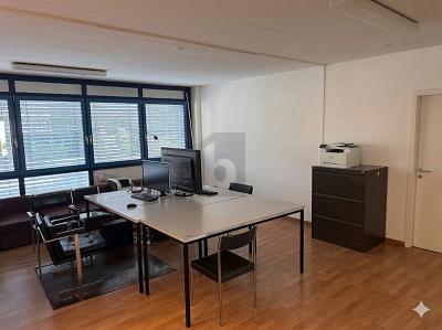 UFFICI IN SOTTO-LOCAZIONE IN ZONA ARTIGIANALE, Sur demande, 1225 Chêne-Bourg, Ticino, CH