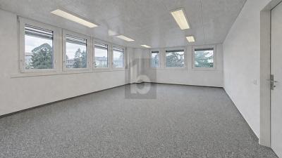SURFACE LUMINEUSE DANS UN ENVIRONNEMENT CALME, Sur demande, 1027 Lonay, Ticino, CH