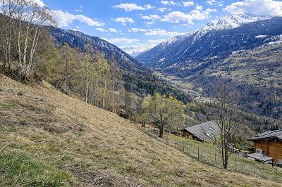 BELLA PARCELLA DA EDIFICARE, Sur demande, 1993 Clèbes (Nendaz), Ticino, CH