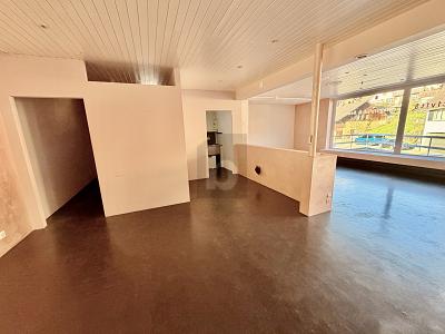 HELL UND ZENTRAL MITTEN IN FÜLLINSDORF, Auf Anfrage, 4414 Füllinsdorf, Ticino, CH