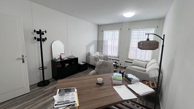 CENTRAL, QUIET AND FUNCTIONAL, Sur demande, 1207 Genève, Ticino, CH