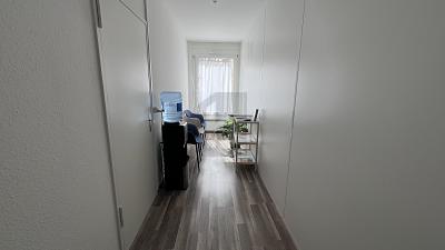 CENTRAL, QUIET AND FUNCTIONAL, Sur demande, 1207 Genève, Ticino, CH
