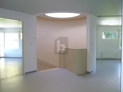INDIPENDENTI, STRATEGICI E BEN POSIZIONATI !, Sur demande, 1315 La Sarraz, Ticino, CH
