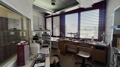 SPAZIOSO, FLESSIBILE E IDEALMENTE SITUATO, Sur demande, 1227 Carouge GE, Ticino, CH