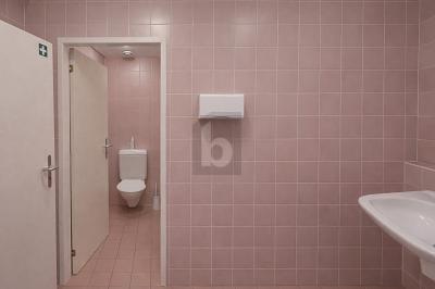 SURFACE LUMINEUSE DANS UN ENVIRONNEMENT CALME, Sur demande, 1027 Lonay, Ticino, CH