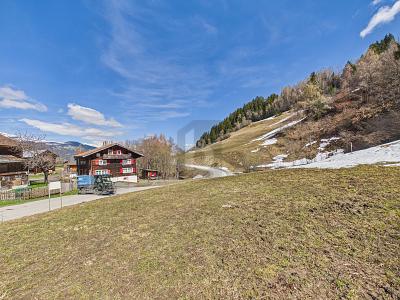 DREAM PLOT WITH SKI-IN/SKI-OUT, Auf Anfrage, 7134 Obersaxen, Ticino, CH