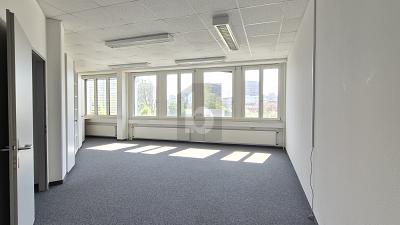Close to train station - ideal for coaching sessions, Auf Anfrage, 8952 Schlieren, Ticino, CH