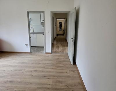 ATTRAENTE, TRANQUILLO & CON POTENZIALE, Su richiesta, 6834 Morbio Inferiore, Ticino, CH