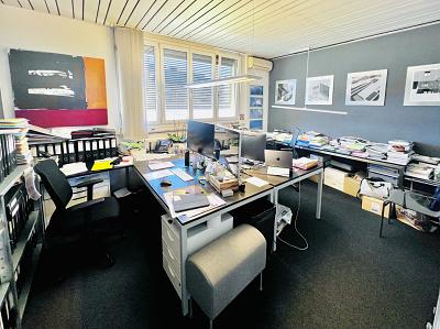 GENEREUX ESPACE PLEIN DE CARACTÈRE & INSPIRANT, Sur demande, 1227 Carouge GE, Ticino, CH