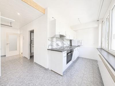VIELFÄLTIG NUTZBAR MIT KÜCHE UND BADEZIMMER, Auf Anfrage, 4203 Grellingen, Ticino, CH