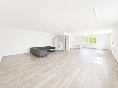 VIELFÄLTIG NUTZBAR MIT KÜCHE UND BADEZIMMER, Auf Anfrage, 4203 Grellingen, Ticino, CH