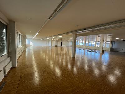 IDÉAL POUR VOTRE ENTREPRISE, Auf Anfrage, 9016 St. Gallen, Ticino, CH
