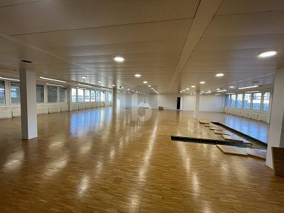 IDÉAL POUR VOTRE ENTREPRISE, Auf Anfrage, 9016 St. Gallen, Ticino, CH