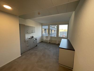 IDEAL FÜR IHR GROSSRAUM-PROJEKT, Auf Anfrage, 9016 St. Gallen, Ticino, CH