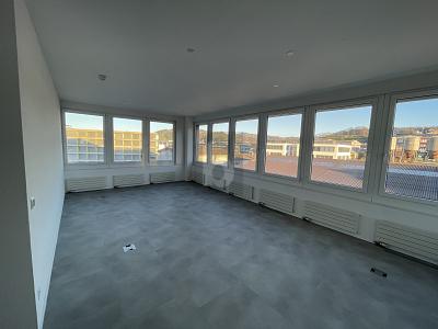 IDEAL FÜR IHR GROSSRAUM-PROJEKT, Auf Anfrage, 9016 St. Gallen, Ticino, CH