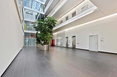 HUGE PRODUCTION HALL IDEAL FOR YOUR BUSINESS, Auf Anfrage, 9016 St. Gallen, Ticino, CH