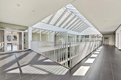 HUGE PRODUCTION HALL IDEAL FOR YOUR BUSINESS, Auf Anfrage, 9016 St. Gallen, Ticino, CH