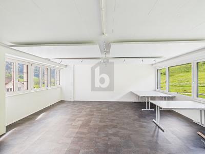 RÉSERVÉ, Auf Anfrage, 9055 Bühler, Ticino, CH