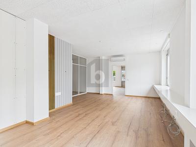 Lumineux et unique, Auf Anfrage, 4562 Biberist, Ticino, CH