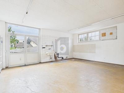 POLYVALENT, Auf Anfrage, 4562 Biberist, Ticino, CH