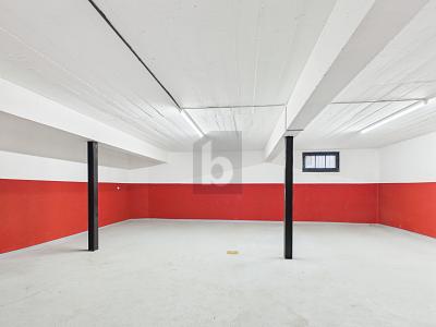 AMPI SPAZI – MOLTEPLICI UTILIZZI!, Auf Anfrage, 4562 Biberist, Ticino, CH
