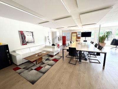 RAPPRESENTATIVO CON VISTA LAGO E TERRAZZE, Auf Anfrage, 8808 Pfäffikon SZ, Ticino, CH