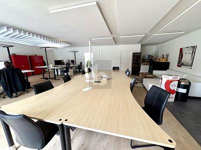 RAPPRESENTATIVO CON VISTA LAGO E TERRAZZE, Auf Anfrage, 8808 Pfäffikon SZ, Ticino, CH