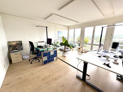 RAPPRESENTATIVO CON VISTA LAGO E TERRAZZE, Auf Anfrage, 8808 Pfäffikon SZ, Ticino, CH