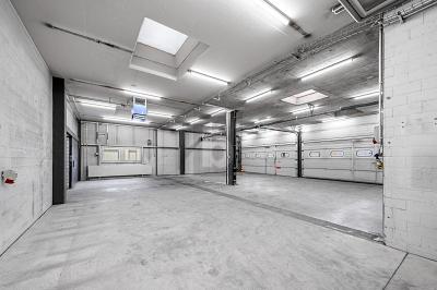 AMPIO, STRUTTURATO E PROFESSIONALE, Auf Anfrage, 8600 Dübendorf, Ticino, CH