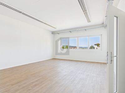 HAUT DE GAMME, NEUF ET BAIGNÉ DE LUMIÈRE, Auf Anfrage, 6280 Hochdorf, Ticino, CH