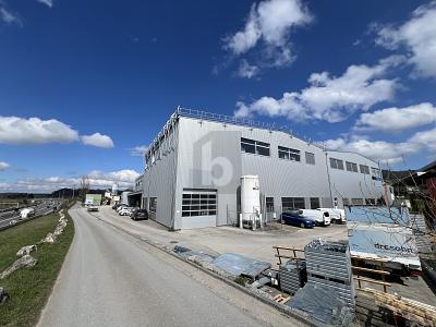GROSSZÜGIG MIT VIEL LAGERPLATZ, Auf Anfrage, 8932 Mettmenstetten, Ticino, CH