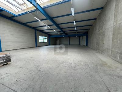 GROSSZÜGIG MIT VIEL LAGERPLATZ, Auf Anfrage, 8932 Mettmenstetten, Ticino, CH
