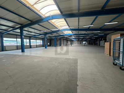 GROSSZÜGIG MIT VIEL LAGERPLATZ, Auf Anfrage, 8932 Mettmenstetten, Ticino, CH