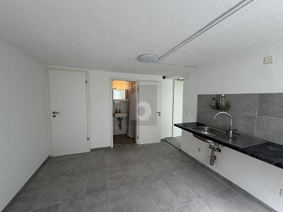 LUMINOSO, PRATICO E BEN COLLEGATO, Auf Anfrage, 8049 Zürich, Ticino, CH