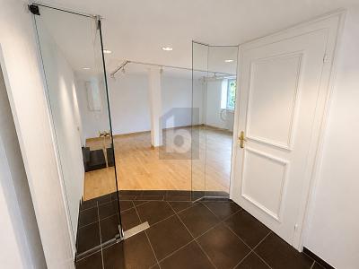 LUMINOSO E DI RAPPRESENTANZA, Auf Anfrage, 8118 Pfaffhausen, Ticino, CH